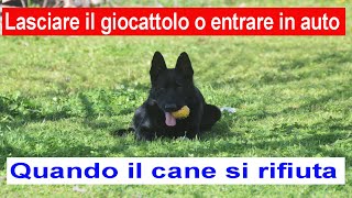 Lasciare il giocattolo o entrare in auto. Quando il cane si rifiuta