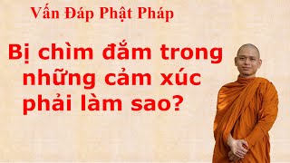 2682. Bị chìm đắm trong những cảm xúc phải làm sao?