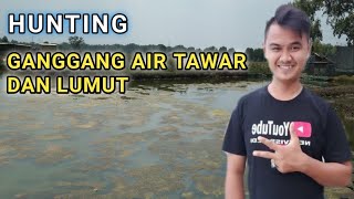 MENCARI LUMUT DAN GANGGANG AIR