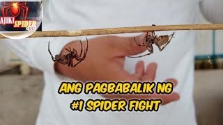 Kajiki Spider Live: Bagong Online Talpakan ng mga Gagamba.