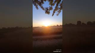 FPV SUNRISE  #aerial #drone #fpv #video #fpvdrone #fpvvideo #dronevideo #fpvcinematic #fpvfreestyle