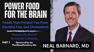 Power Food for the Brain - Foods That Protect You from Harmful Fats and Cholesterol - Part 3