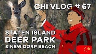 Mini Hike through Staten Island's Deer Park and New Dorp Beach