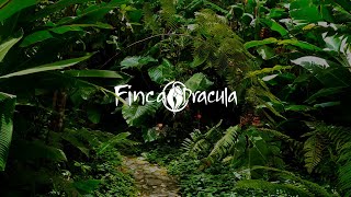 Esto es Finca Dracula