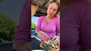 ￼ Cleaning my own Dungeness Crab for lunch!So Delicious!🥰🦀🤤#dungenesscrab #seafood #crab #beach