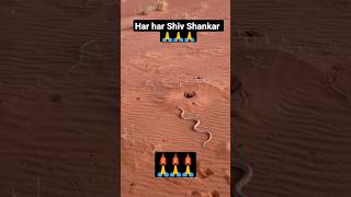 Har Har Shiv Shankar #shorts @ #shivashiva #shiv #trending