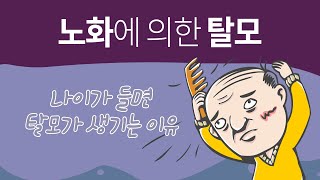 노화에 의한 탈모 / 나이가 들면 탈모가 생기는 이유