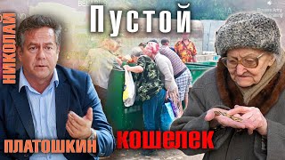 Николай Платошкин - рост экономики и пустой кошелек