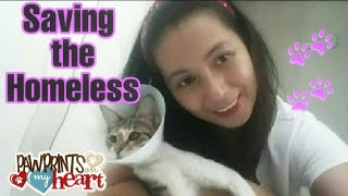 Stray Rescue | Saving the Homeless