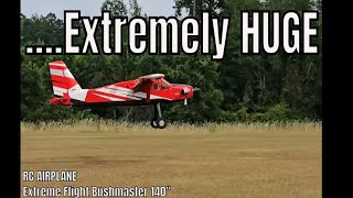 Incredible Rc Airplane Stunts Feat. Extreme Flight Bushmaster!