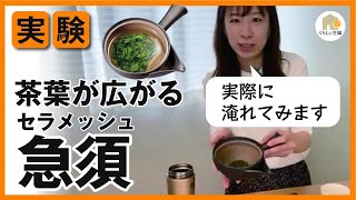 「急須で味が変わる！」とお茶好きさんに大好評。常滑焼こだわりセラメッシュ急須４５.誌面だけでは伝わりにくい茶葉の広がりについて、レビューしてみました。