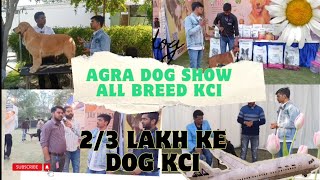 उत्तर प्रदेश आगरा का सबसे बड़ा डॉग शो|| Agra dog show in Uttar Pradesh @Crazypartner2