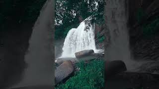 Huluganga Falls😮#shorts#subscribe#short#waterfall#nature#srilanaka#travel#lanka#travelsl#knuckles