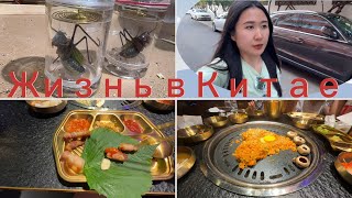 Жизнь в Китае | Мини зоопарк | Жарим мясо #中国