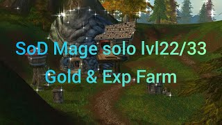 Wow Classic SoD Mage AoE Gold/Exp Farming  Lv 22-33