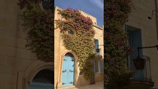 The best Instagram spot in Mdina, Malta | The famous street with blue doors and purple flowers