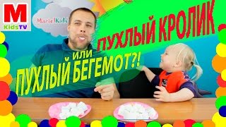 Челендж ПУХЛЫЙ КРОЛИК / CHUBBY BUNNY CHALLENGE! а так же Пухлый БЕГЕМОТ