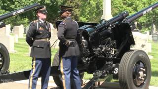 Cannons at Arlington National Cemetery