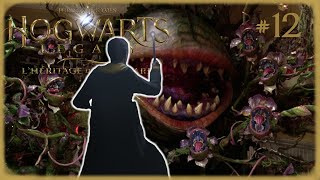 Hogwart Legacy - Episode 12 - Une tentacula Géante ! Yamete kudasai !