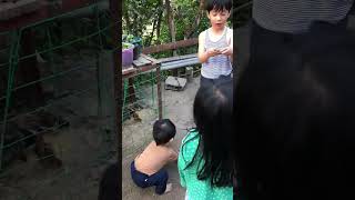 Life in the Province || Philippines #family #shorts #shortsvideo