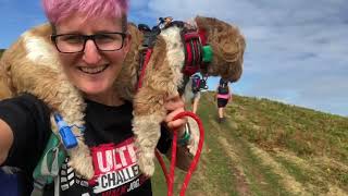 Hiking up Hatterall Hill (Cwmyoy, Brecon Beacons, Wales) September 2018