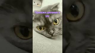 зайка я тебя люблю 🥰