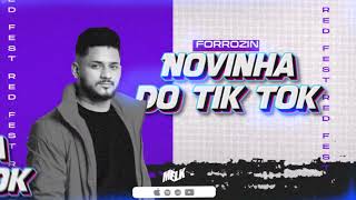 NOVINHA DO TIK TOK FORRÓZIN - DJ MELK PRA PAREDÃO 2024