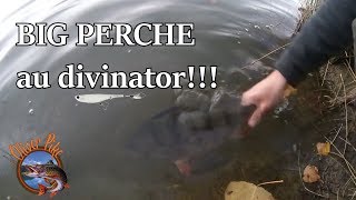 Grosse perche au divinator !!!