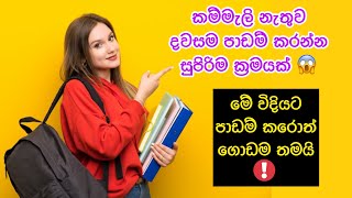 කම්මැලි නැතුව දවසම වුනත් පාඩම් කරන්න සුපිරිම ක්‍රමයක්😲✨ | Pomodoro Technique