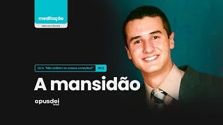 "Não ardiam os nossos corações” - Episódio 3, Mansidão