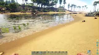 Playing ark for the first time