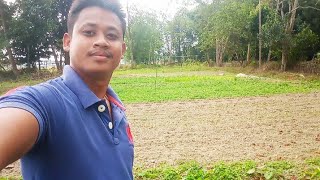 আমাৰ ঘৰৰ শাকপাচলি বাৰি চাওঁ আহক ৷ Assamese Vlogs !