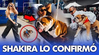 La prueba reina del romance: Shakira es captada paseando a Roscoe mascota de Lewis Hamilton.