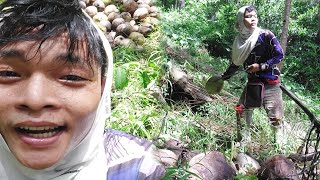 Kill-eye Real Life Vlog (Pag-iipon Ng Niyog)