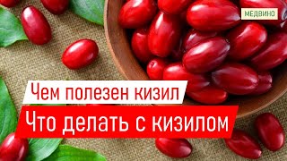 Что делать с кизилом_Чем полезен кизил