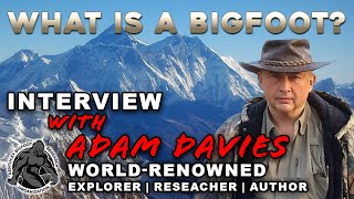 What Is A Bigfoot?  Interview With Adam Davies #bigfoot #cryptozoology #shorts