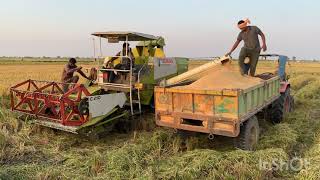 Paddy harvesting with time laps