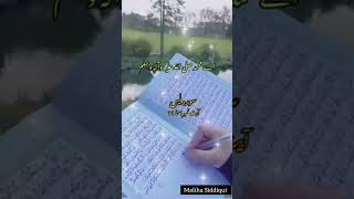 Al Qur'an Surat al yaseen translation #shorts #shortsfeed #quran #kalam #shortvideo