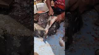 Sunday Special #fish #fishmarket #short #shorts #viral #youtube #youtubeshorts #shortvideo #reels