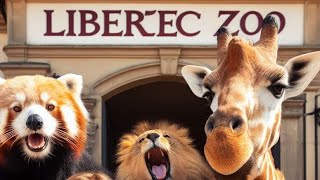 Zoo Liberec listopad vlog