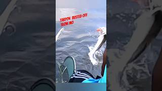 Big Tarpon broke big bro heart 💔 #fishing #tarpon #tarponfishing #fish #bass #outdoors #shorts #2024