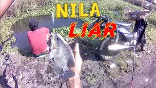 NILA LIAR