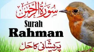 Surah Rahman Beautiful Tilawat e Quranسورۃ رحمن | Tibyan  Tv Ep 167