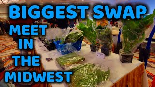 The biggest fish swap-meet in the Midwest, Northbrook, Illinois, USA: Happy Angelfish Hunting!