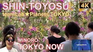 [4K] Shin-Toyosu, teamLab Planets TOKYO 07/30/2023 | チームラボプラネッツTOKYO TOKYO NOW