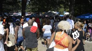 House In The Park | Atlanta House Music Festival 1