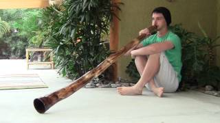 "JF458" Agave Didgeridoo by James Felgar