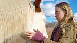 I Tried Horse Therapy