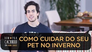 5 DICAS PARA CUIDAR DO SEU PET NO INVERNO | BOM PRA CACHORRO