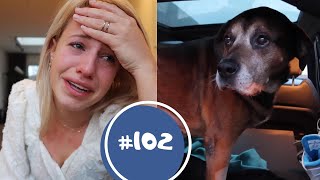 BUMPER HEEFT EEN TUMOR - Weekvlog #102